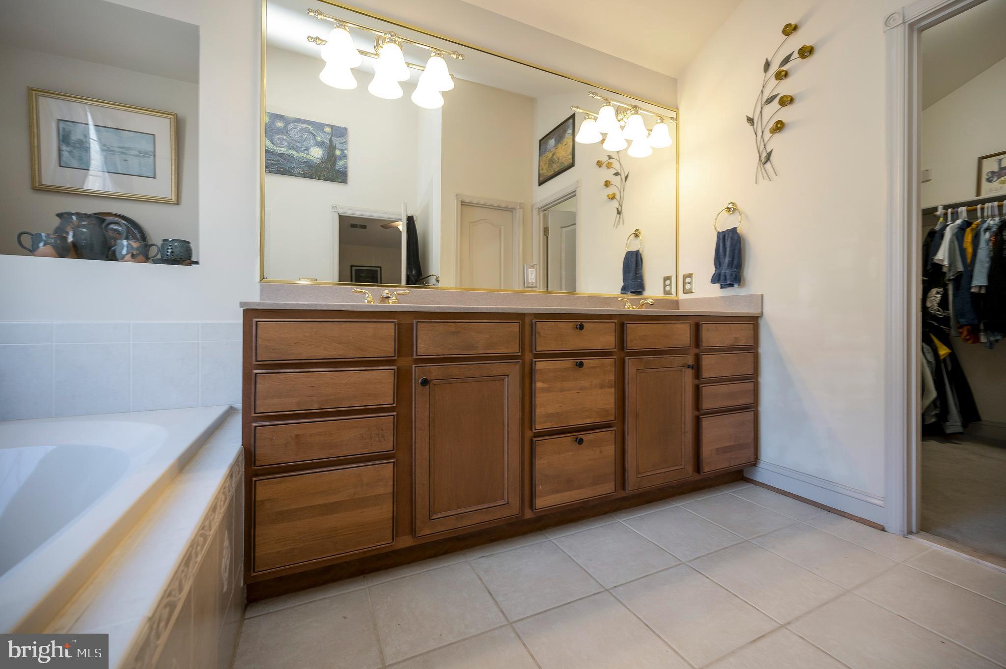 408 Liberty Boulevard Locust Grove, VA 22508 - Photo 22 of 45 a spacious bathroom with a double vanity sink a mirror and a bathtub