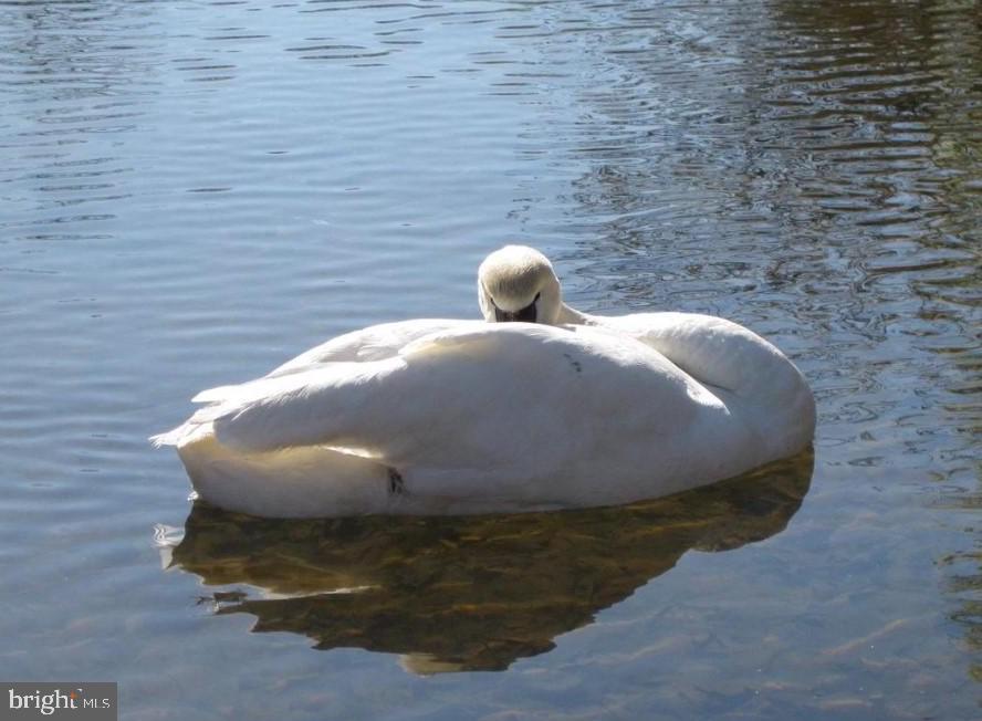 408 Liberty Boulevard Locust Grove, VA 22508 - Photo 45 of 45