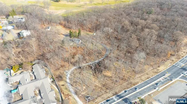 a close up of a plant