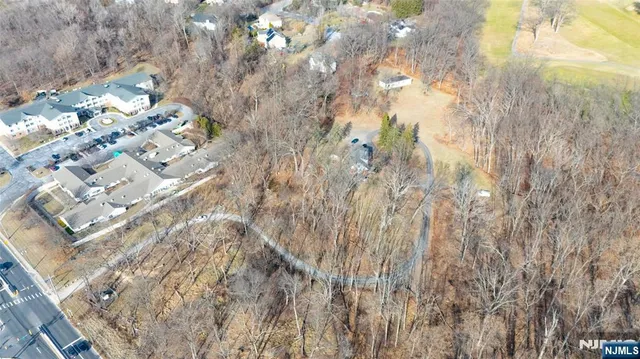 a close up of a plant in a garden