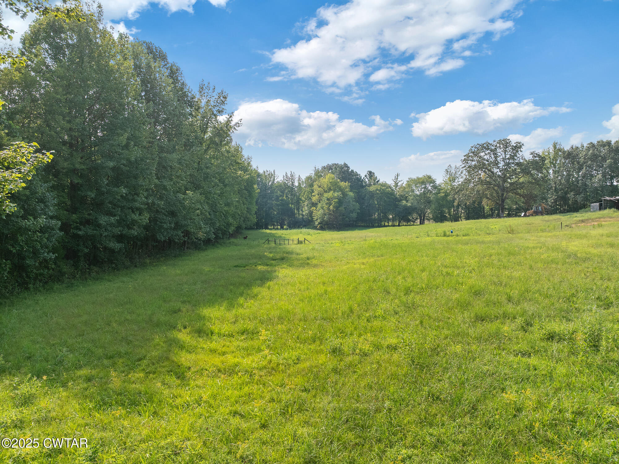 1176 Myracle Town Road Darden, TN 38328 - Photo 38 of 40 a view of a field with an trees in the background