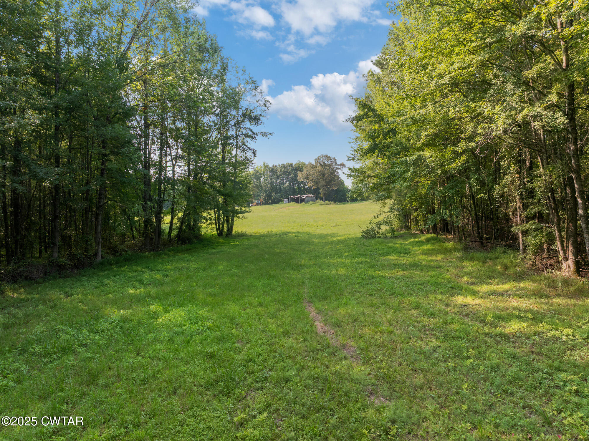 1176 Myracle Town Road Darden, TN 38328 - Photo 39 of 40 a view of an outdoor space and a yard