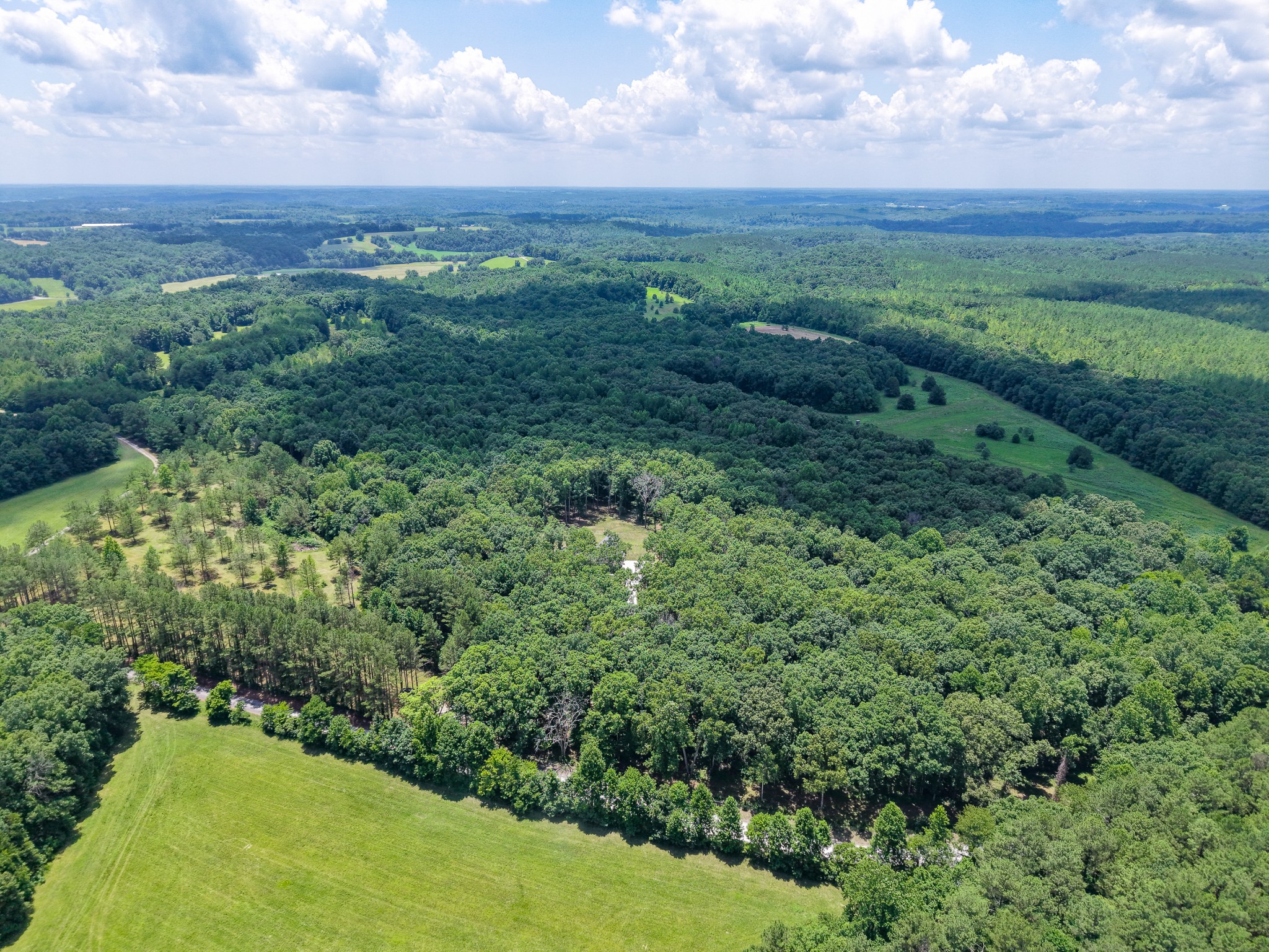 2200 Little Texas Road Goodspring, TN 38460 - Photo 55 of 61