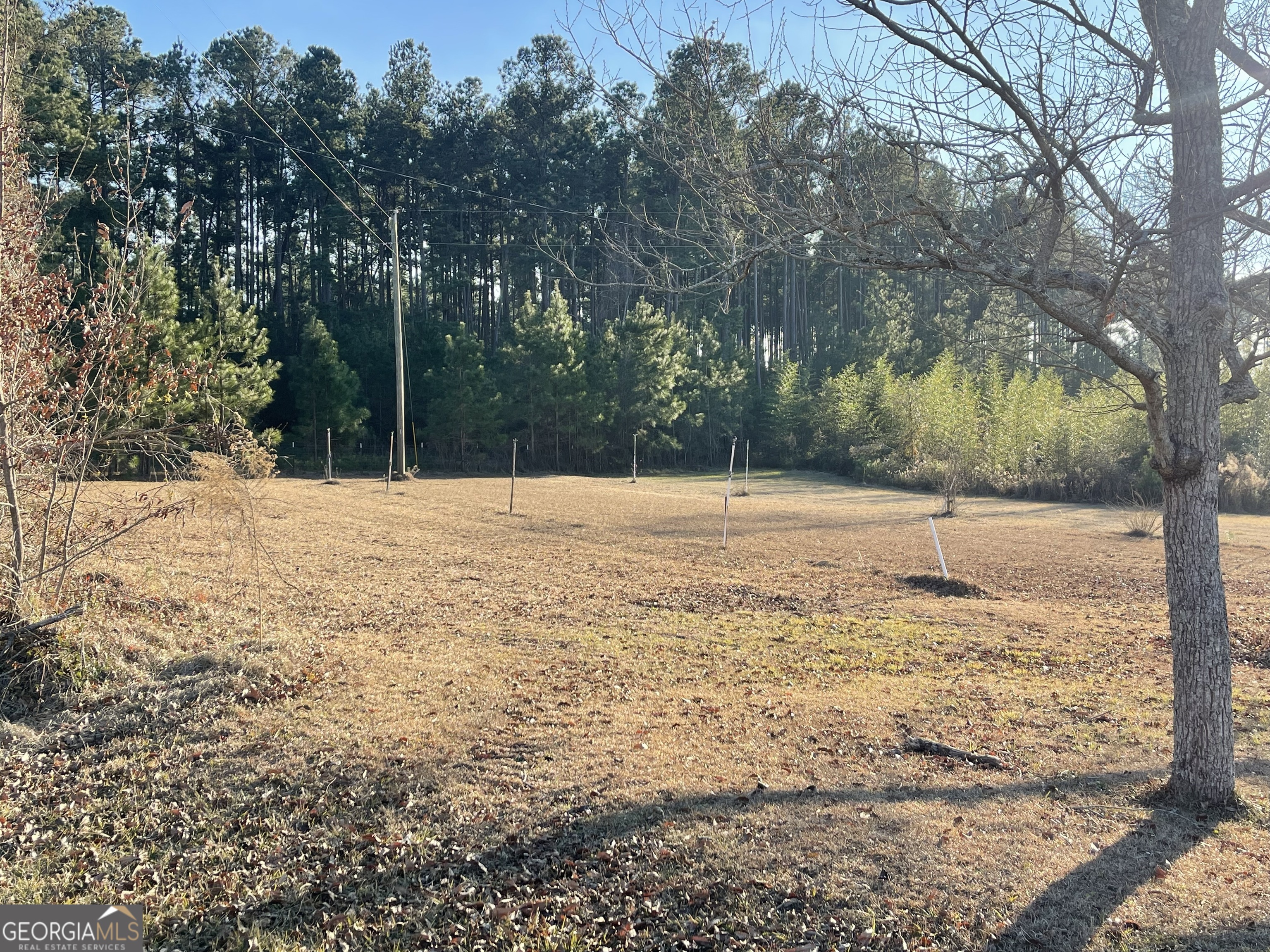 271 Marchants Dairy Road Rhine, GA 31077 - Photo 20 of 26