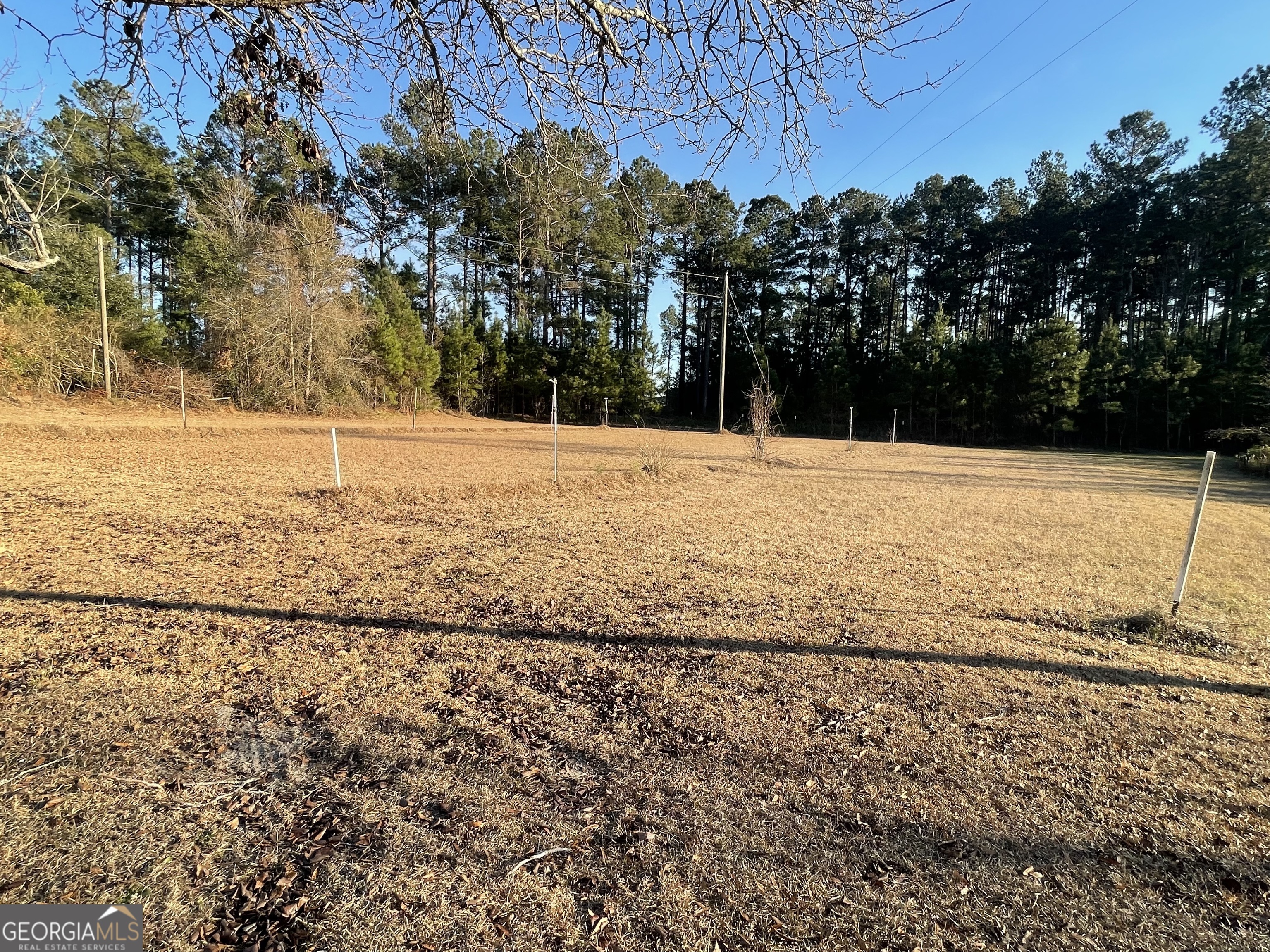 271 Marchants Dairy Road Rhine, GA 31077 - Photo 22 of 26