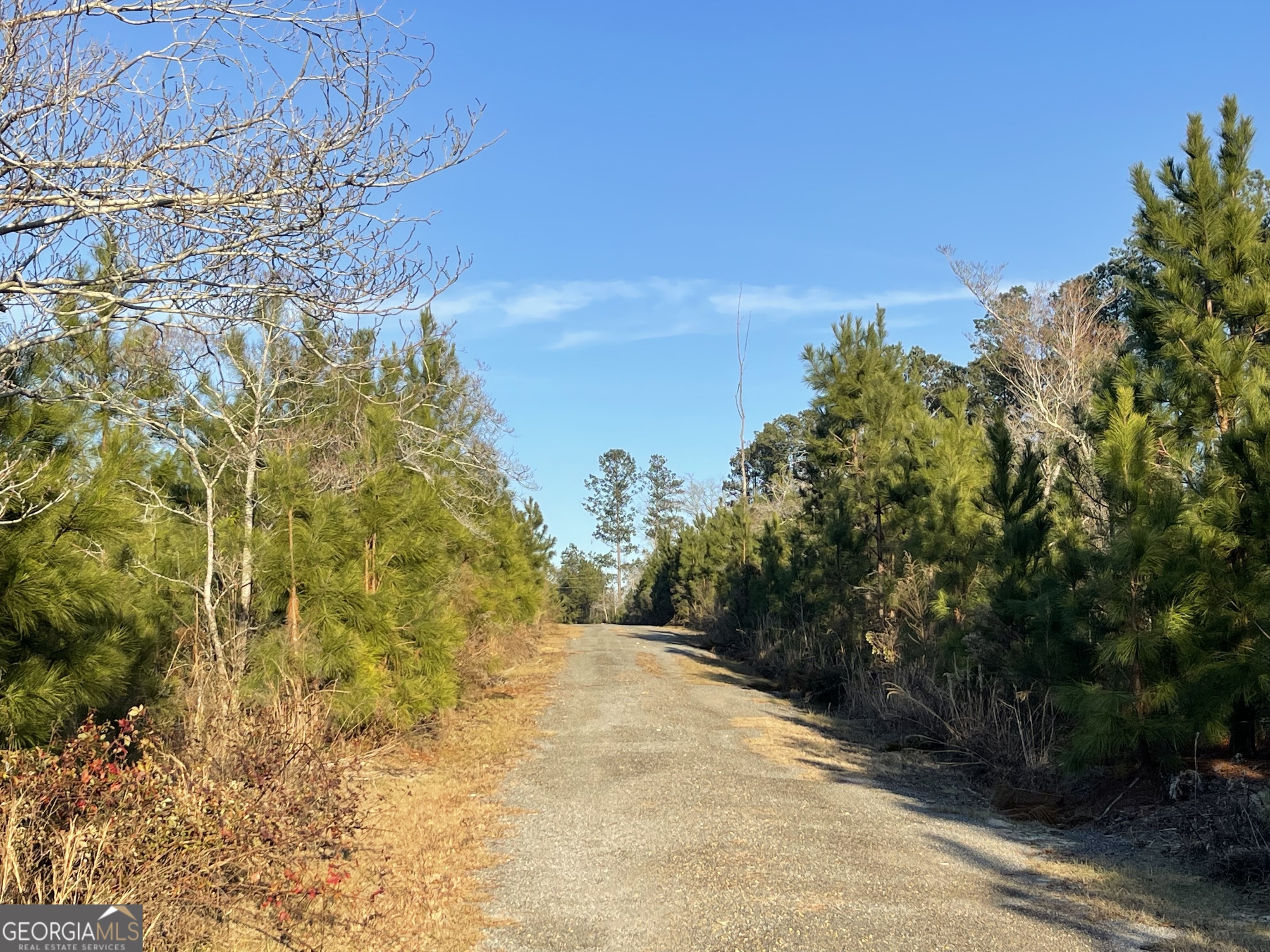 271 Marchants Dairy Road Rhine, GA 31077 - Photo 26 of 26