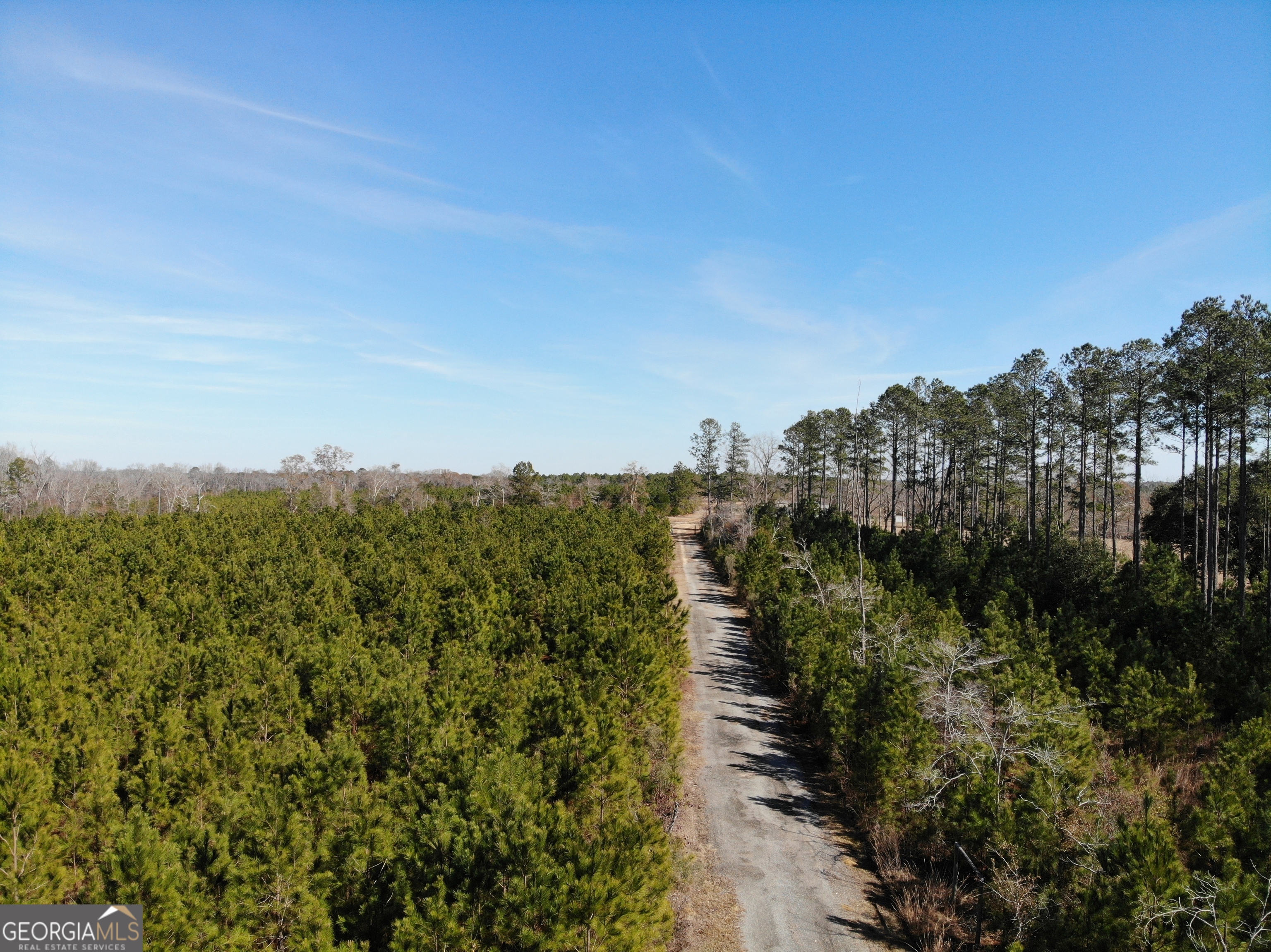 271 Marchants Dairy Road Rhine, GA 31077 - Photo 4 of 26