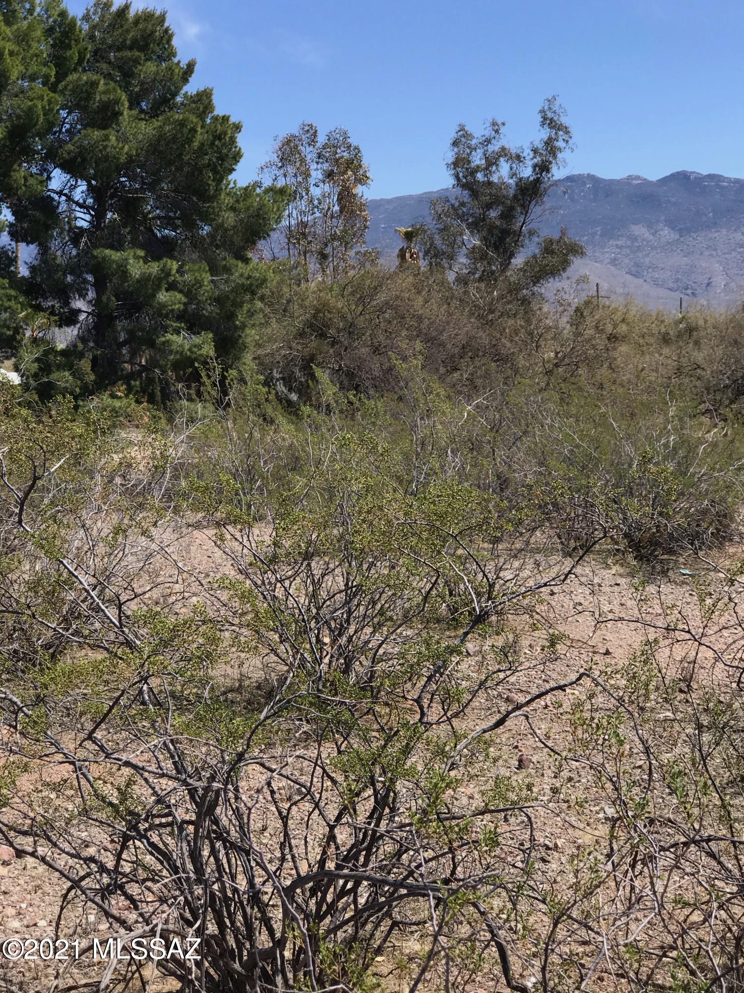 11311 East Tanque Verde Road Tucson, AZ 85749 - Photo 9 of 20 Gallery Image 9