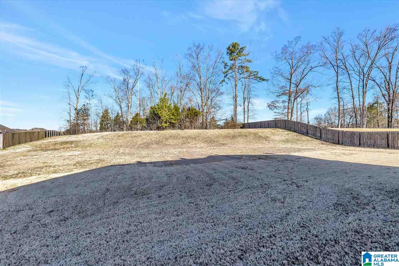 405 Ramsgate Drive Alabaster, AL 35114 - Photo 31 of 35