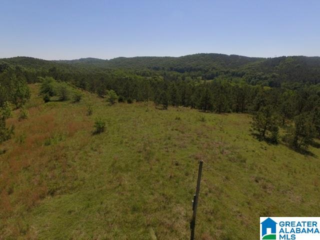 82-acres Creed Road, Unit 82 ACRES Lineville, AL 36266 - Photo 3 of 20