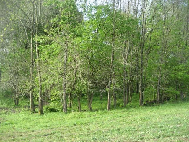 1 Myers Road Carlisle, KY 40311 - Photo 22 of 32 Photo 22