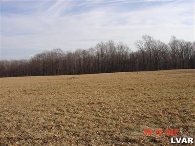 0 Laurel Hill Road Bangor, PA 18013 - Photo 3 of 3 Property-Open field about 3 acres the rest is woods. Lots of privacy