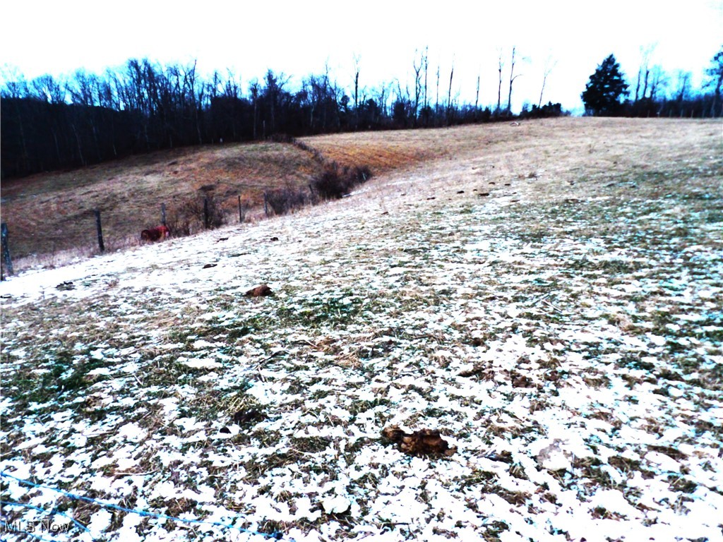 50877 Moore Ridge Road Jerusalem, OH 43747 - Photo 10 of 49
