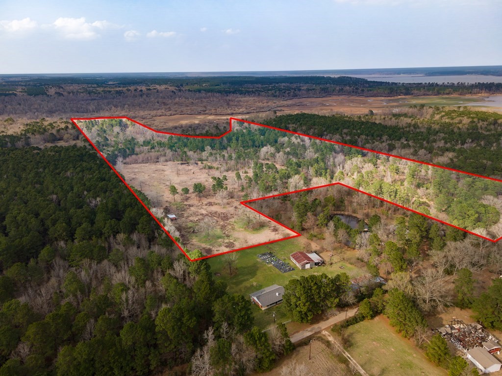 31964 Herman Nerren Road Huntington, TX 75949 - Photo 2 of 8 a view of lake