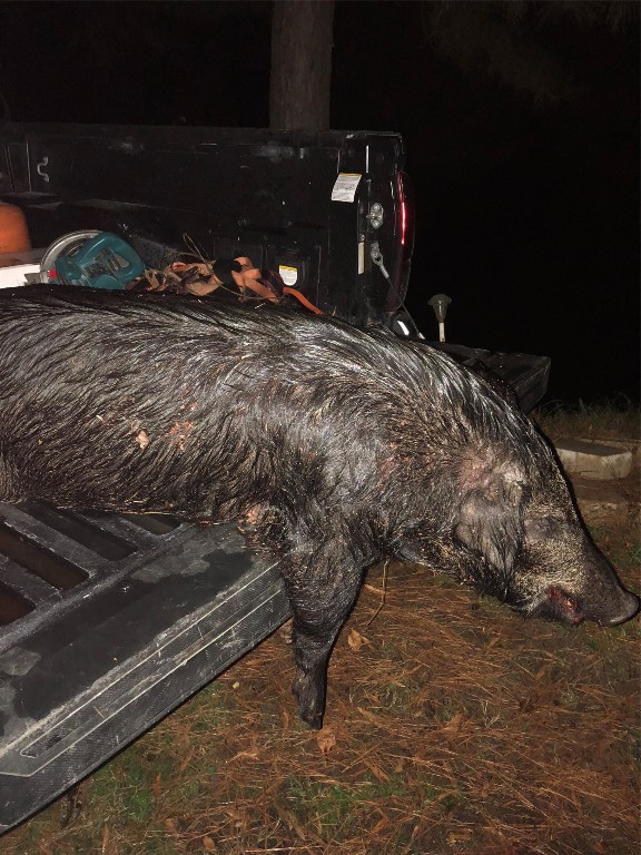 31964 Herman Nerren Road Huntington, TX 75949 - Photo 8 of 8