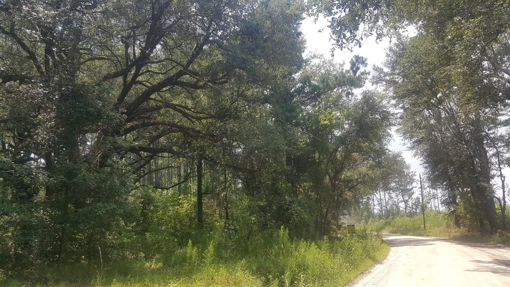 0 Brick Road Walterboro, SC 29488 - Photo 1 of 3 20180712_141305