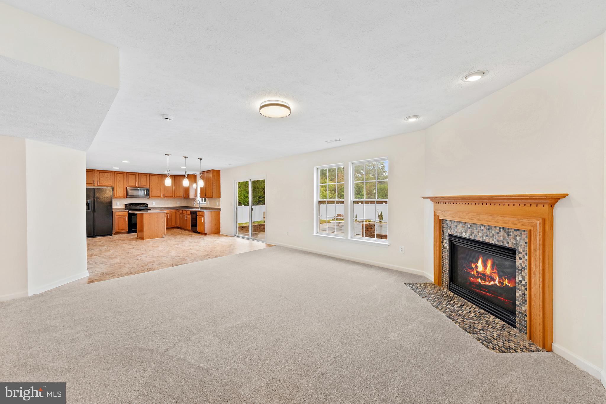 1612 Cattail Commons Way Denton, MD 21629 - Photo 11 of 67 a view of an empty room with a fireplace and a window
