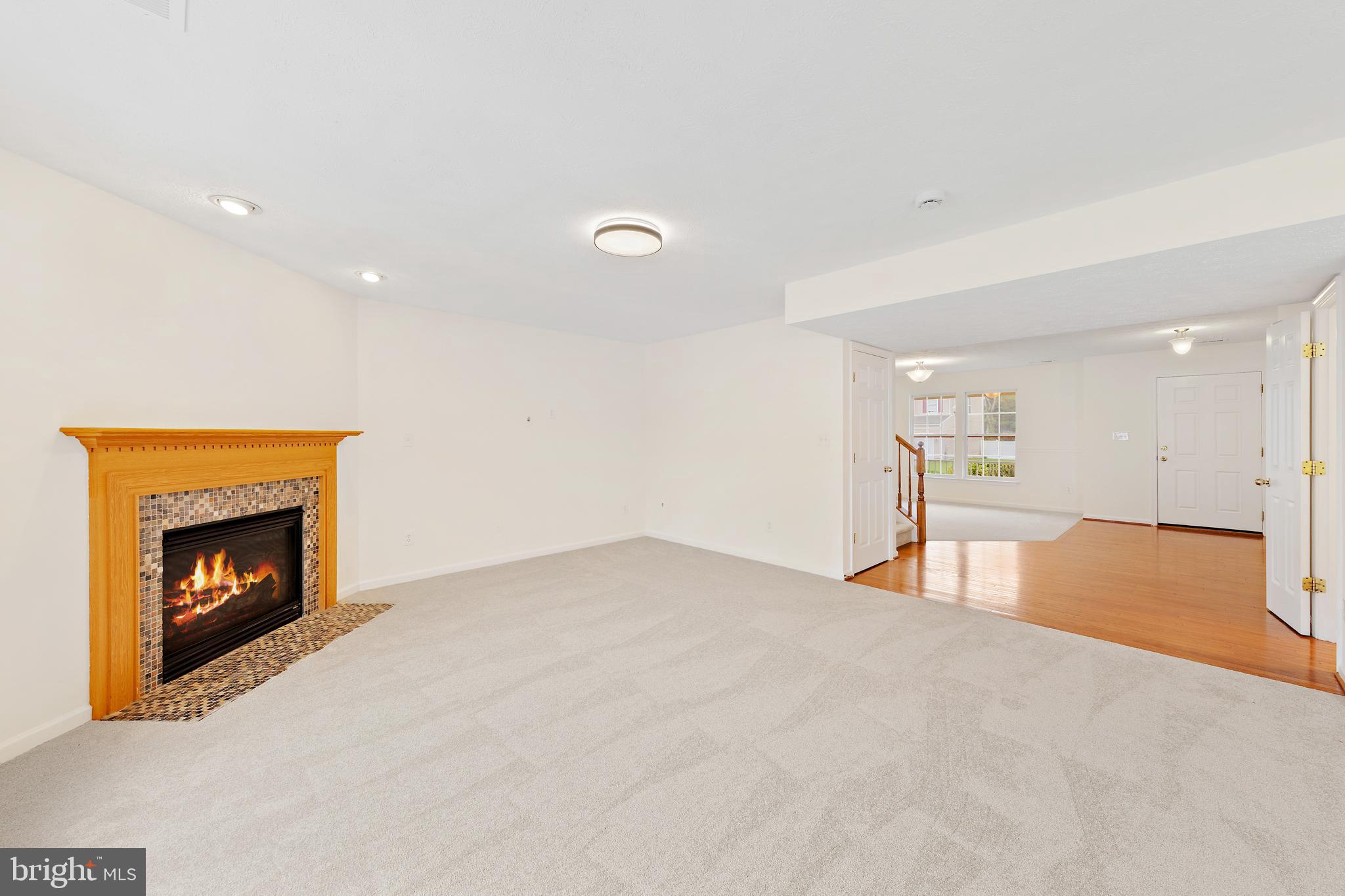 1612 Cattail Commons Way Denton, MD 21629 - Photo 14 of 67 a view of an empty room with a fireplace