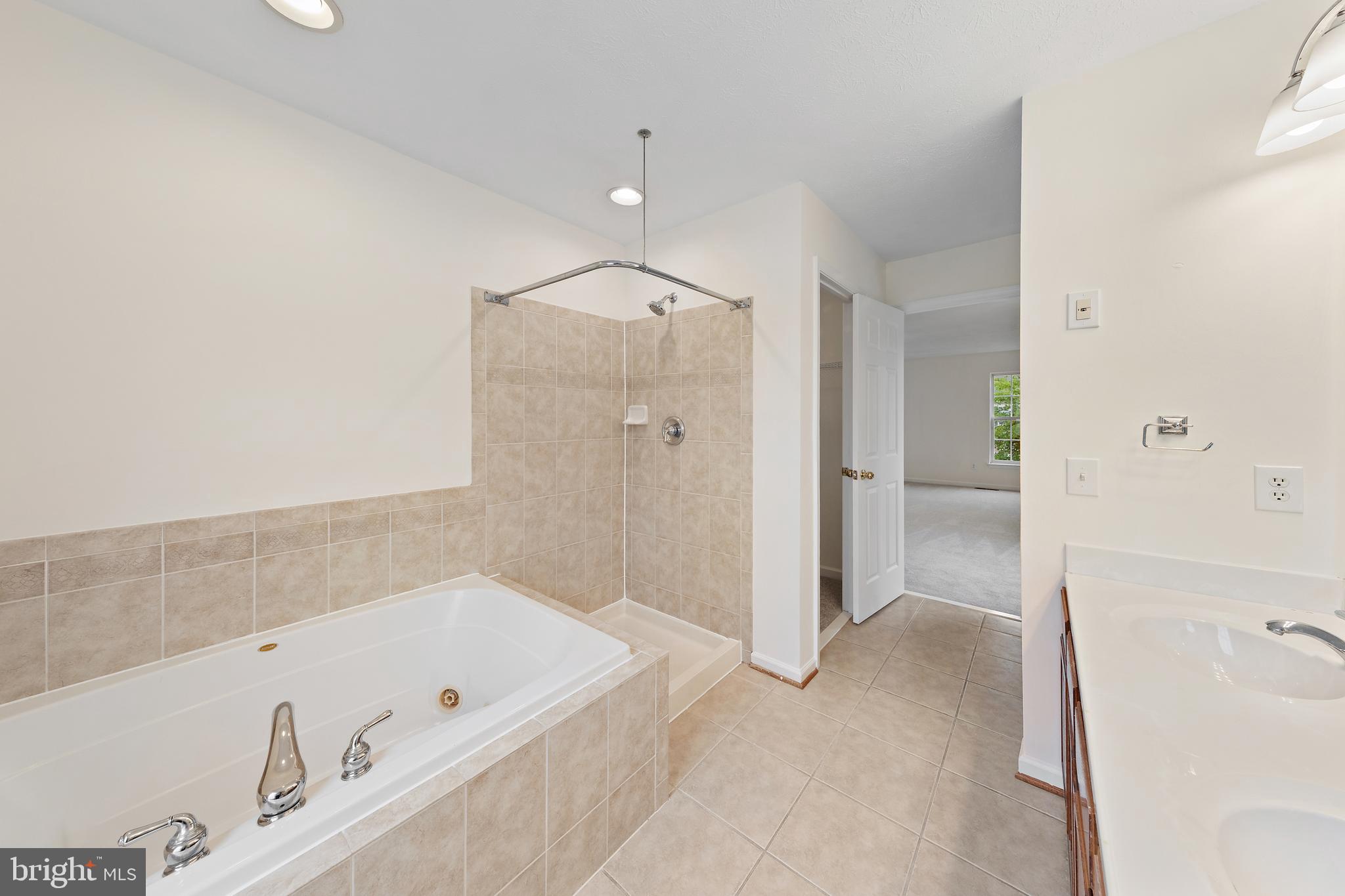 1612 Cattail Commons Way Denton, MD 21629 - Photo 57 of 67 a bathroom with a tub a sink and a shower