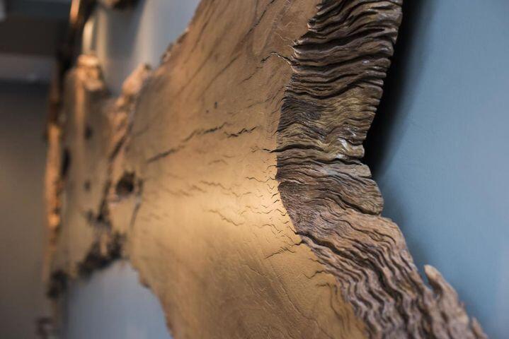 128 Columbus Street, Unit 2P W/ TERRACE Charleston, SC 29403 - Photo 5 of 21 20200520181224895185000000-o