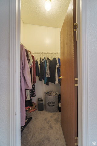 445 South Main Street Fayette, UT 84630 - Photo 27 of 45 Walk in closet featuring light colored carpet