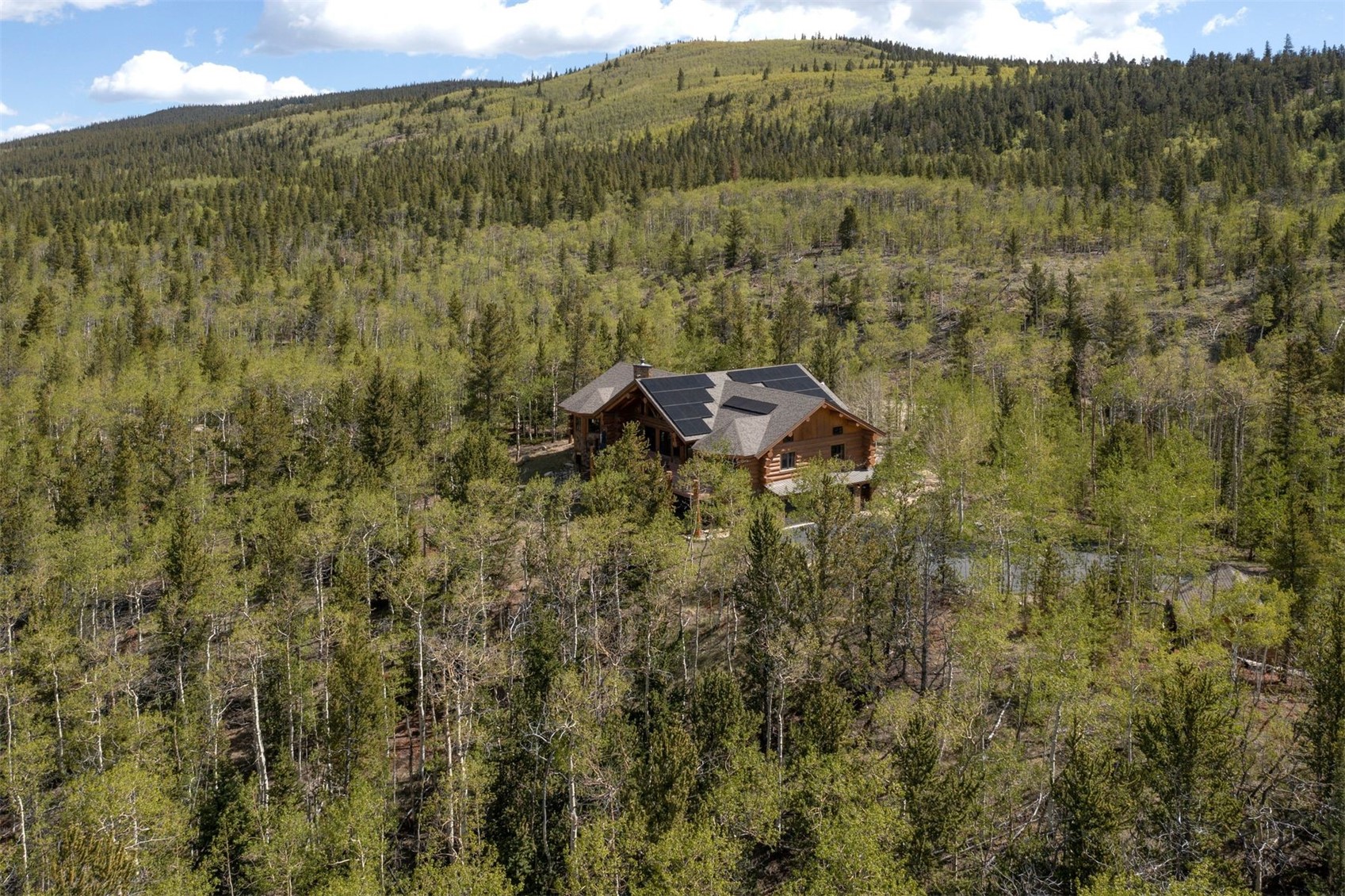 77 Dead Toad Road Alma, CO 80420 - Photo 43 of 44