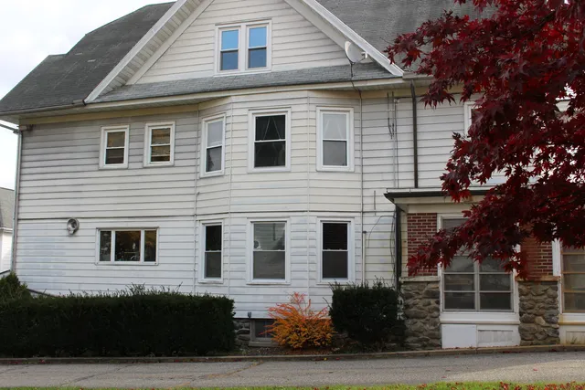 a front view of a house with plants