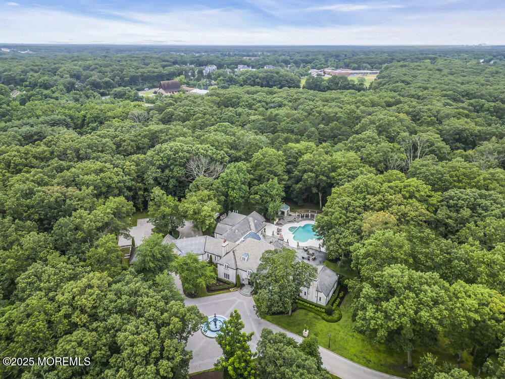 1762 Todd Road Toms River, NJ 08755 - Photo 57 of 69 an aerial view of green landscape with trees houses and mountain view