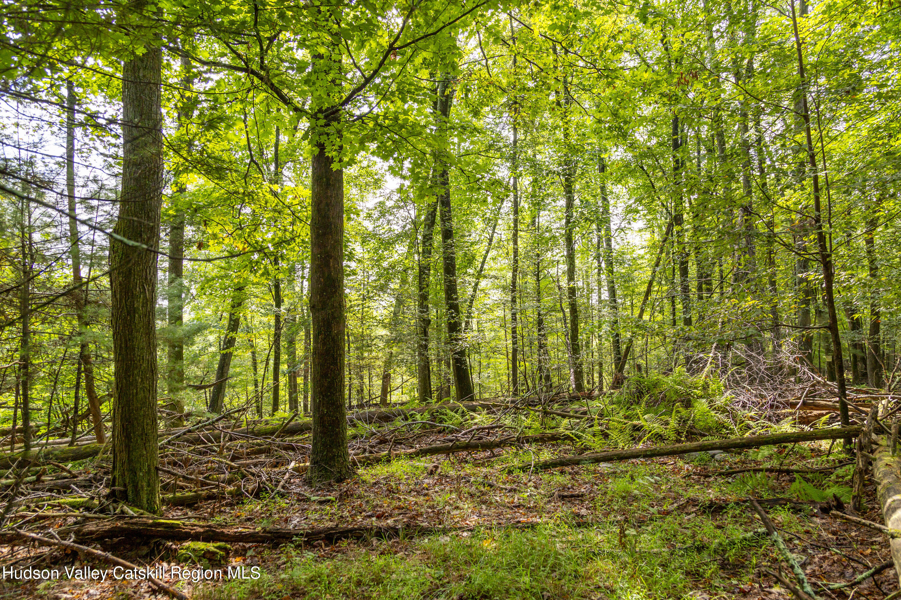 0 Stone Church Road Kingston, NY 12401 - Photo 12 of 15 _O7A5396