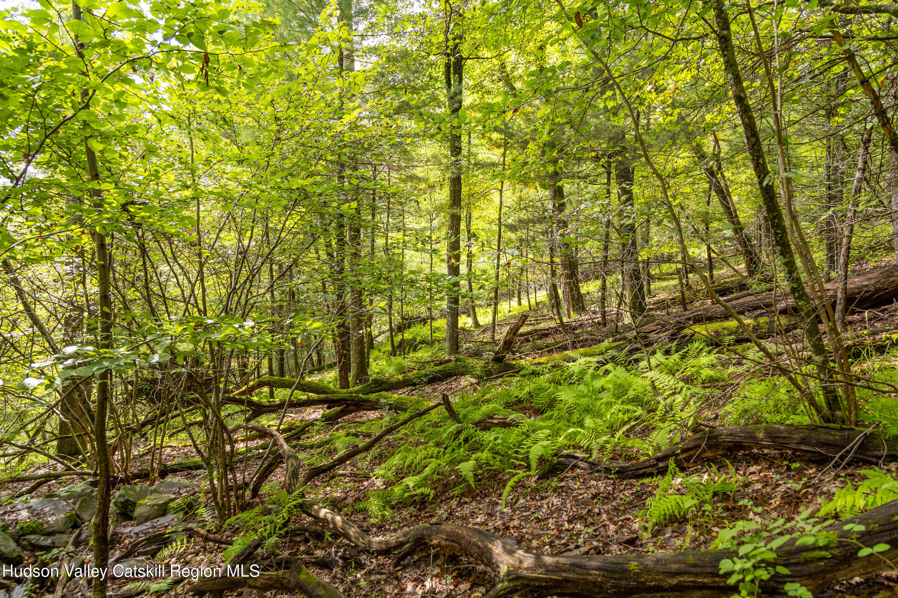 0 Stone Church Road Kingston, NY 12401 - Photo 8 of 15 _O7A5389