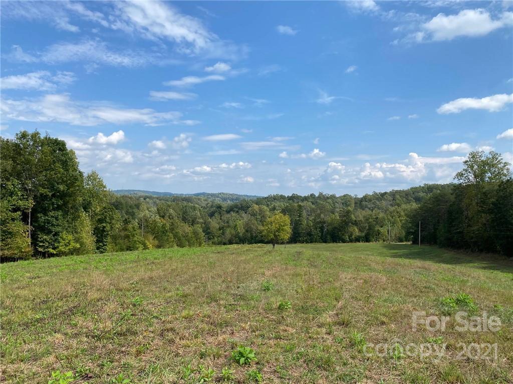 142 Martin Road Rutherfordton, NC 28139 - Photo 4 of 10 a view of a green field