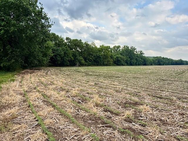 10.72-acres North 800 Road Baldwin City, KS 66006 - Photo 5 of 17