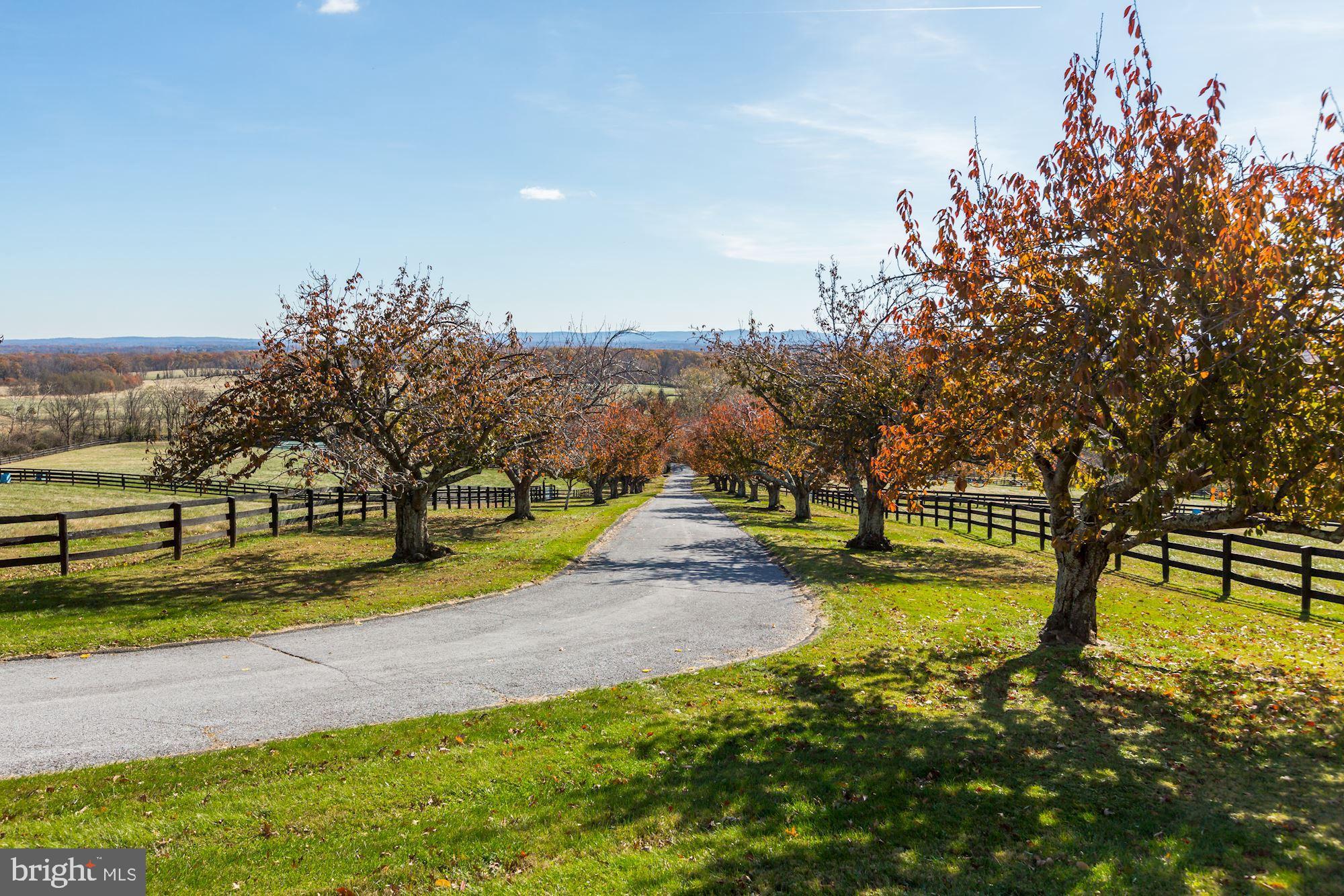 20561 Trappe Road Upperville, VA 20184 - Photo 25 of 54