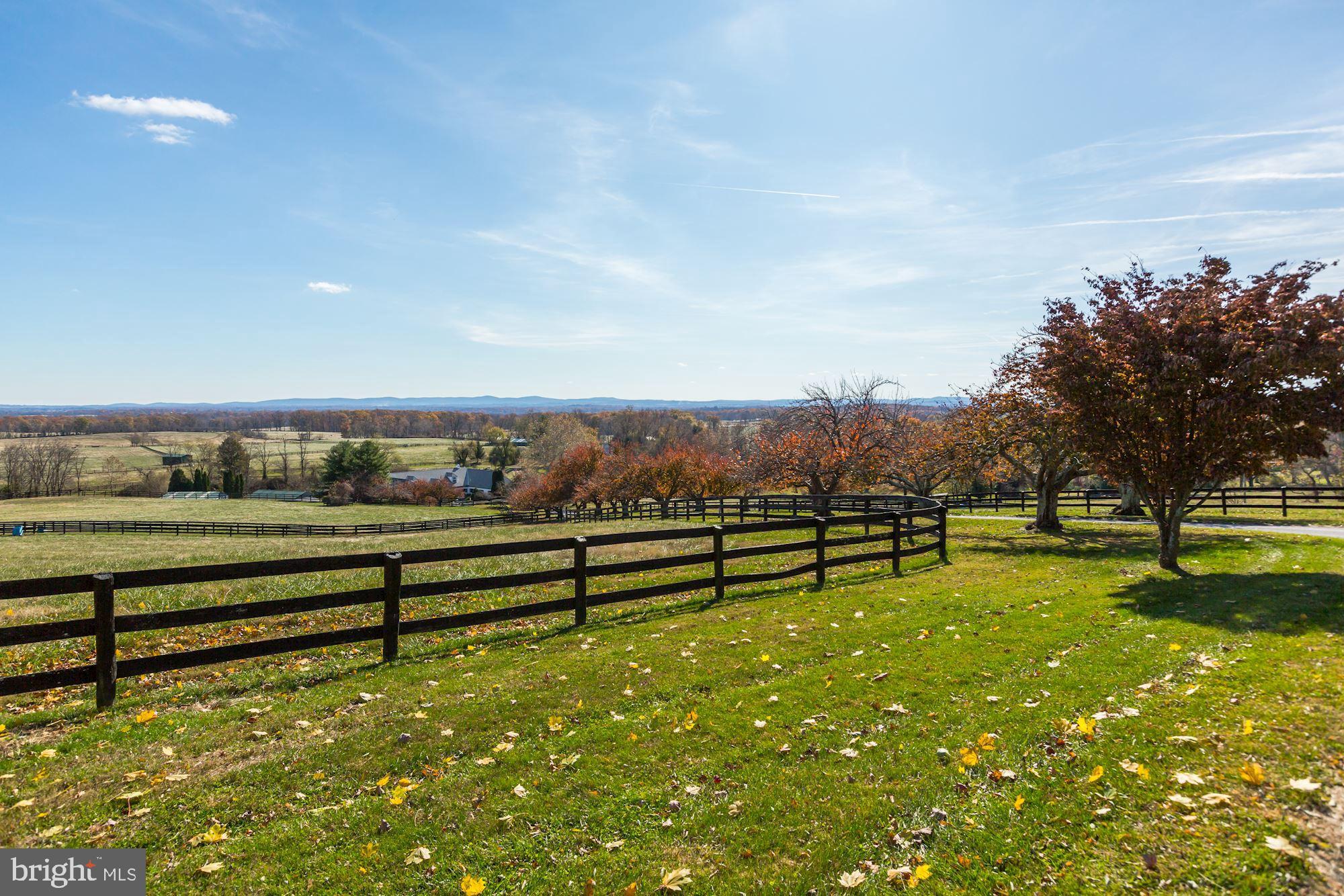 20561 Trappe Road Upperville, VA 20184 - Photo 44 of 54