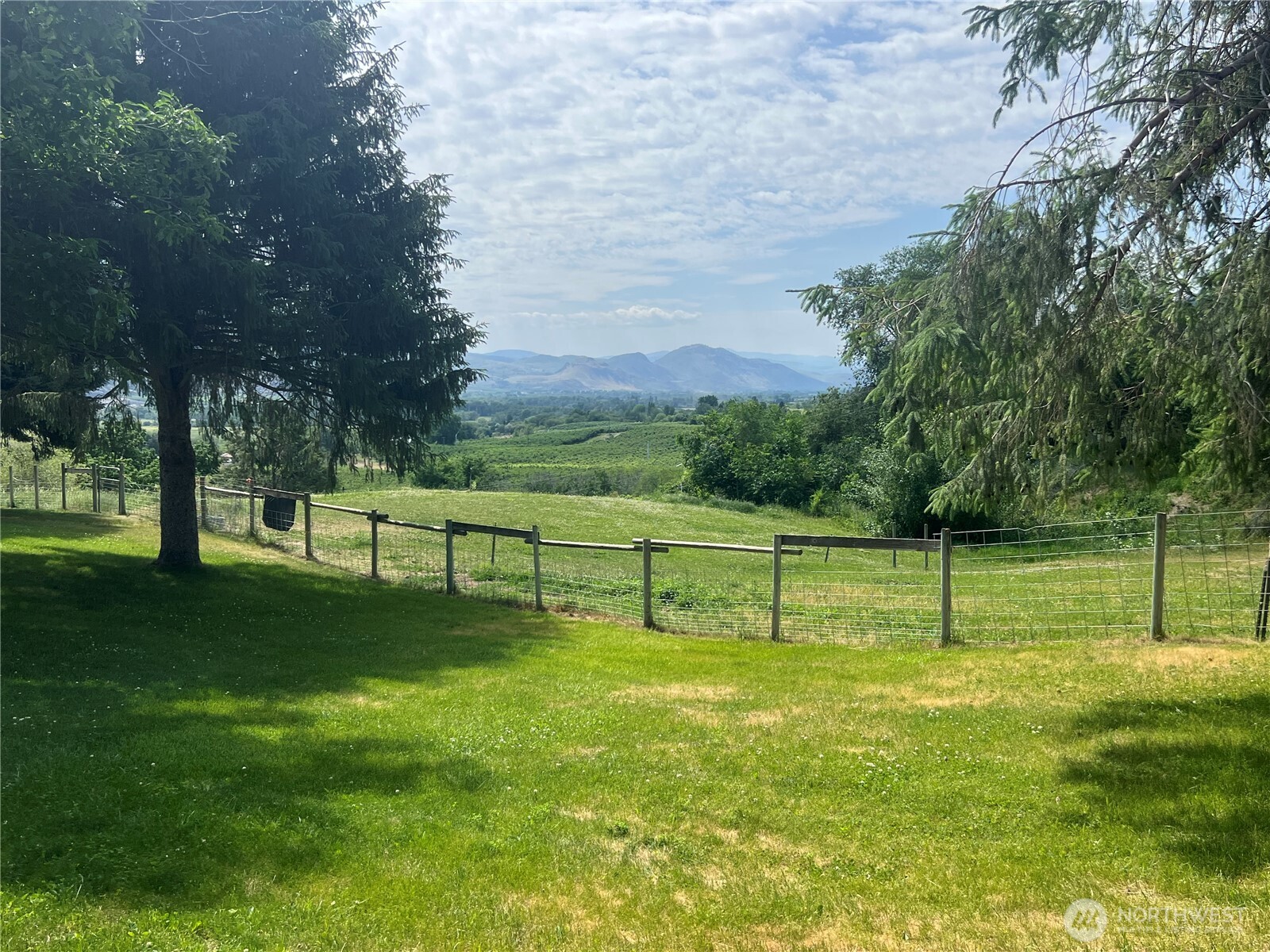 81 B Golden Road Oroville, WA 98844 - Photo 22 of 37 a view of park with trees