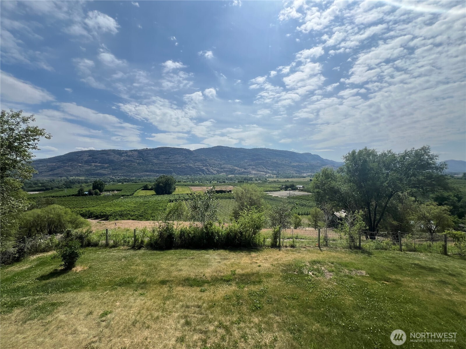 81 B Golden Road Oroville, WA 98844 - Photo 25 of 37 a view of a bunch of trees and bushes