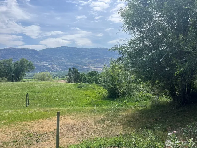 a view of a grassy area with an trees