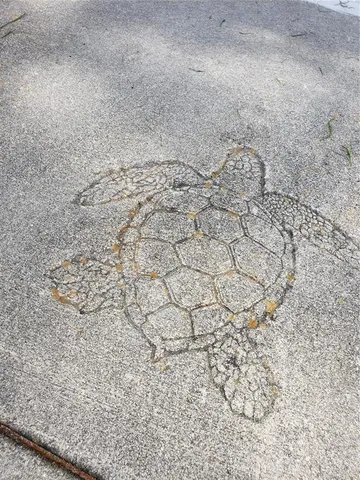 a view of a water with large trees