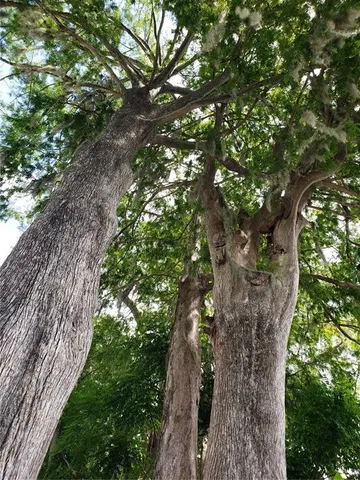 $209,900 | 1140 South Orlando Avenue, Unit E1, Maitland, FL 32751