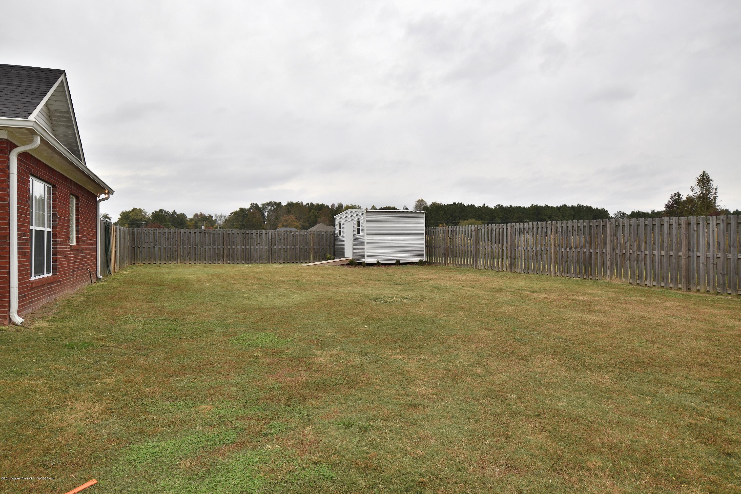 1938 Blooming Grove Road Jasper, AL 35504 - Photo 3 of 10 Gallery Image 3
