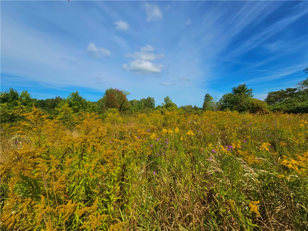 8237 Ford Road Pulteney, NY 14418 - Photo 4 of 48 Gallery Image 4