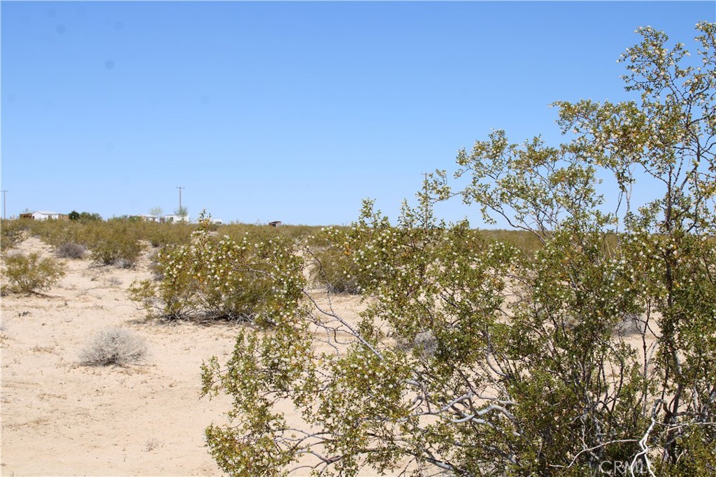 29 Morongo Road Twentynine Palms, CA 92277 - Photo 8 of 21