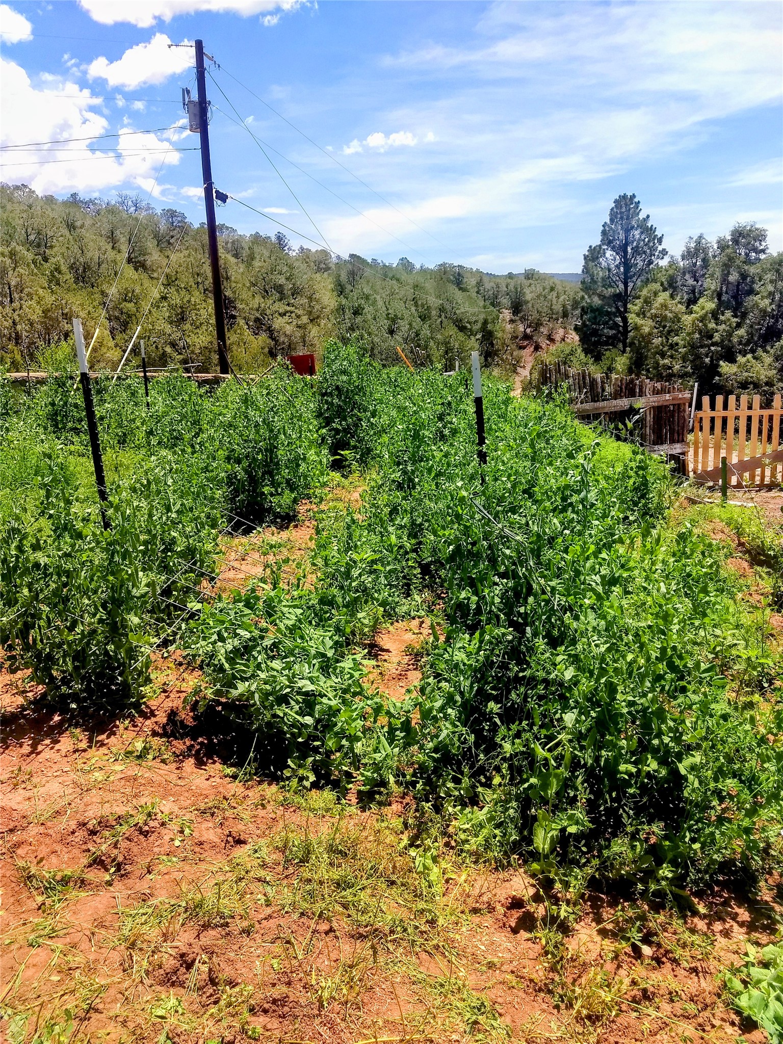 53 County Rd B44C Pecos, NM 87552 - Photo 23 of 24