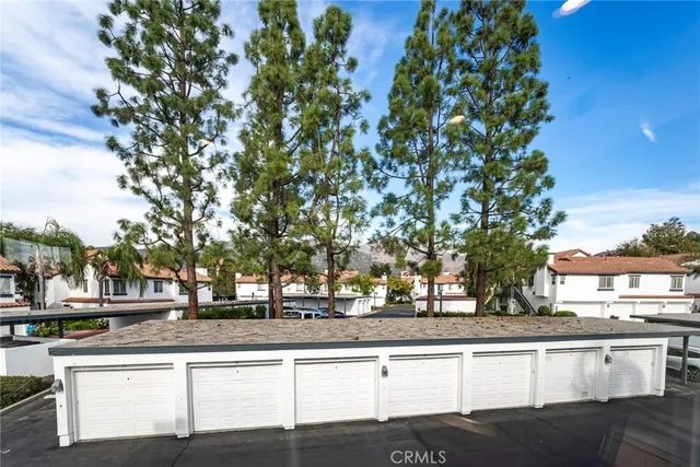 a view of large trees with a street