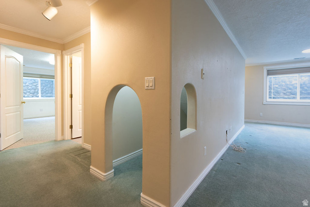 875 East 1300th Street North Mapleton, UT 84664 - Photo 43 of 65 Corridor featuring carpet, ornamental molding, a textured ceiling, and arched walkways