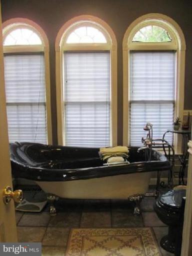 20522 Gapland Road Rohrersville, MD 21779 - Photo 7 of 23 Unbelieveable Master Bath!
