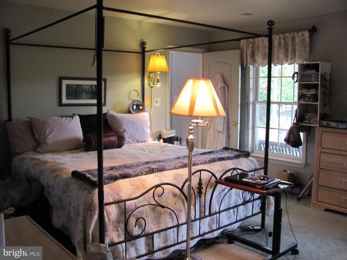 20522 Gapland Road Rohrersville, MD 21779 - Photo 10 of 23 One of two master suites! This one is on main lev