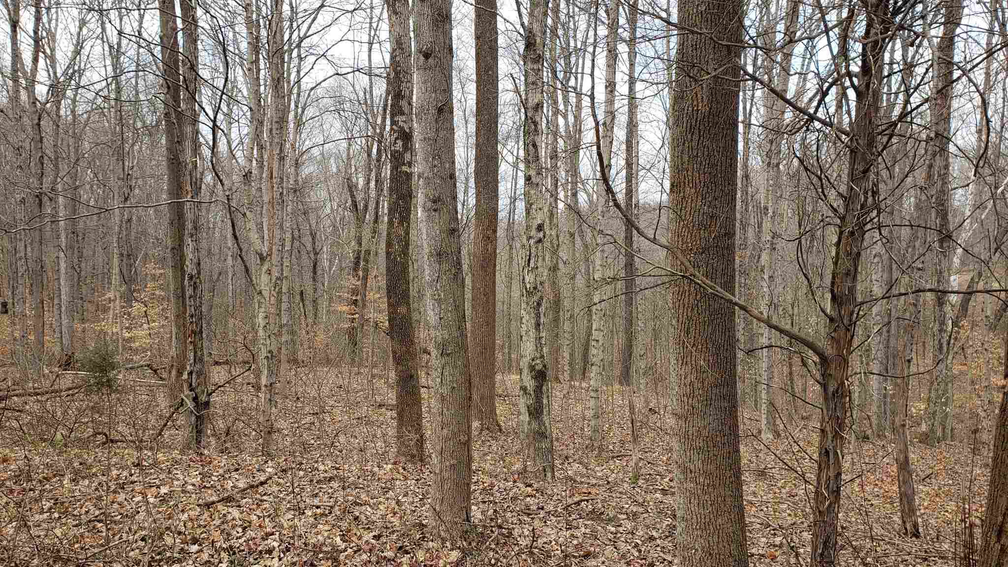 35.4-acres Ridge Road Shoals, IN 47581 - Photo 16 of 19