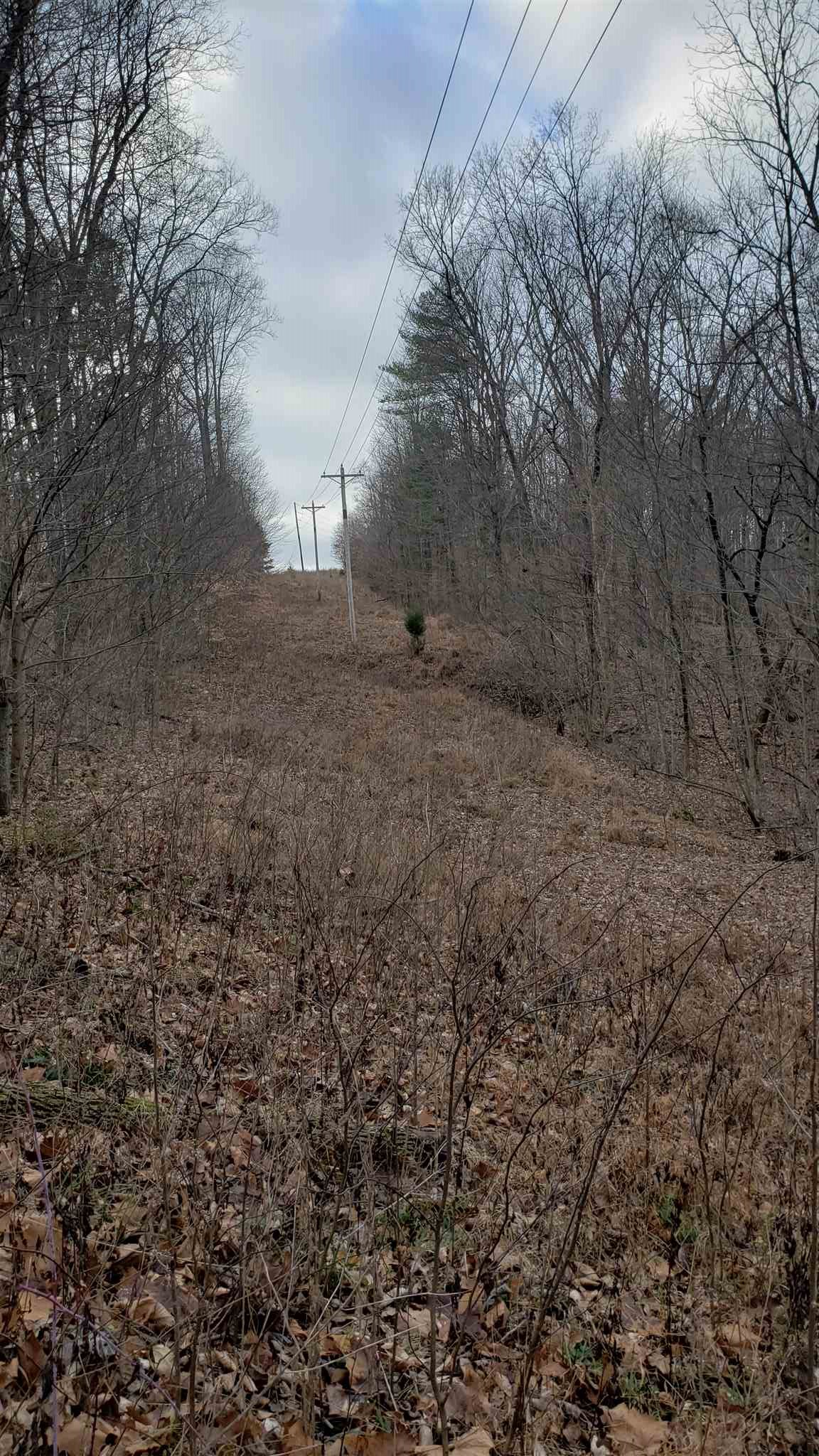 35.4-acres Ridge Road Shoals, IN 47581 - Photo 5 of 19
