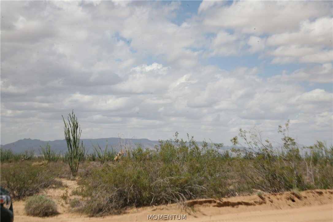 016 South Gene Autry Road Yucca, AZ 86438 - Photo 15 of 38 Gallery Image 15